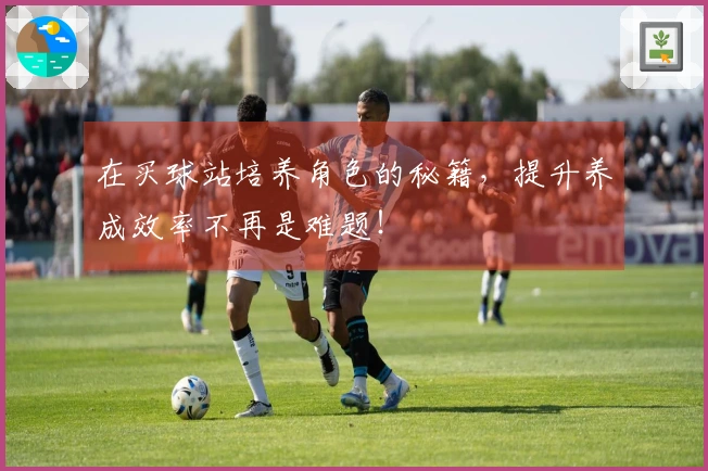 在买球站培养角色的秘籍，提升养成效率不再是难题！