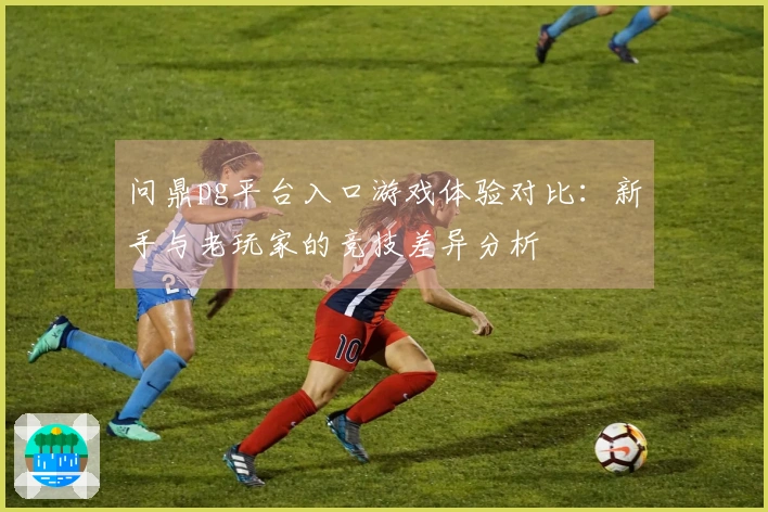 问鼎pg平台入口游戏体验对比：新手与老玩家的竞技差异分析